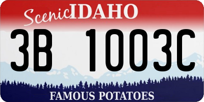 ID license plate 3B1003C