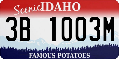 ID license plate 3B1003M