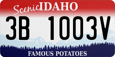 ID license plate 3B1003V