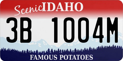 ID license plate 3B1004M