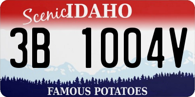 ID license plate 3B1004V
