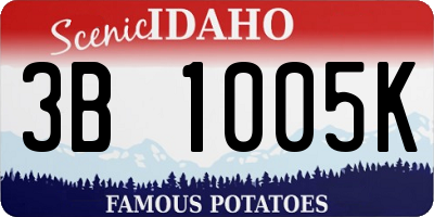 ID license plate 3B1005K
