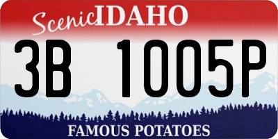 ID license plate 3B1005P