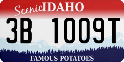 ID license plate 3B1009T