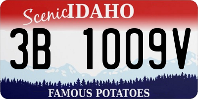 ID license plate 3B1009V