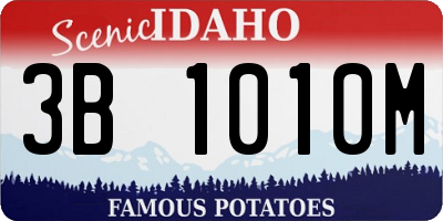 ID license plate 3B1010M