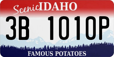 ID license plate 3B1010P