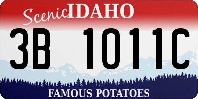 ID license plate 3B1011C