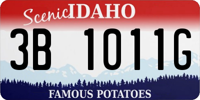 ID license plate 3B1011G
