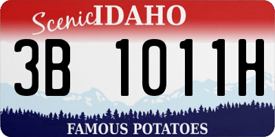 ID license plate 3B1011H