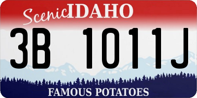 ID license plate 3B1011J