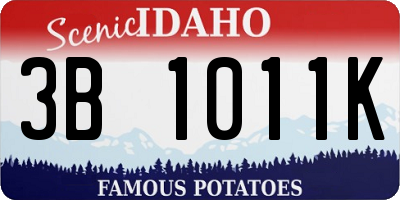 ID license plate 3B1011K