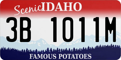 ID license plate 3B1011M