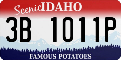 ID license plate 3B1011P