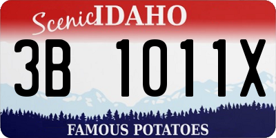 ID license plate 3B1011X