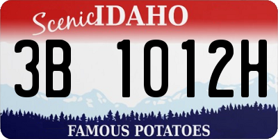 ID license plate 3B1012H