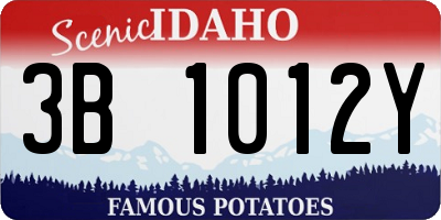 ID license plate 3B1012Y