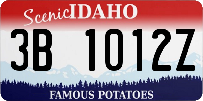 ID license plate 3B1012Z