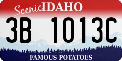 ID license plate 3B1013C