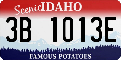 ID license plate 3B1013E
