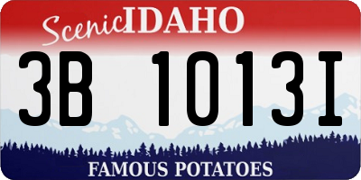 ID license plate 3B1013I