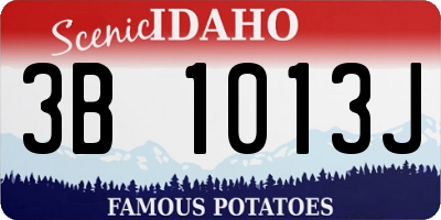 ID license plate 3B1013J