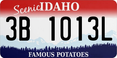 ID license plate 3B1013L