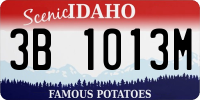 ID license plate 3B1013M