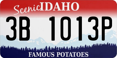 ID license plate 3B1013P
