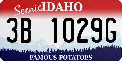 ID license plate 3B1029G