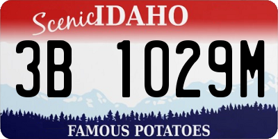 ID license plate 3B1029M