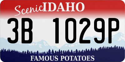 ID license plate 3B1029P
