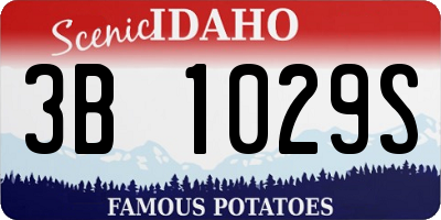 ID license plate 3B1029S