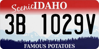 ID license plate 3B1029V