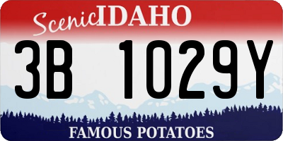 ID license plate 3B1029Y