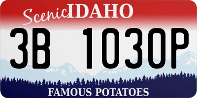 ID license plate 3B1030P