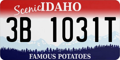 ID license plate 3B1031T