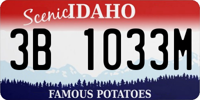ID license plate 3B1033M