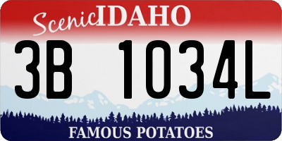 ID license plate 3B1034L