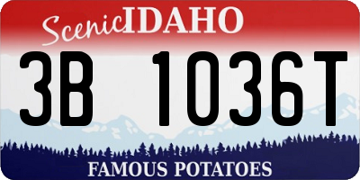 ID license plate 3B1036T