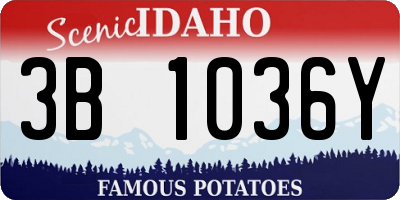 ID license plate 3B1036Y