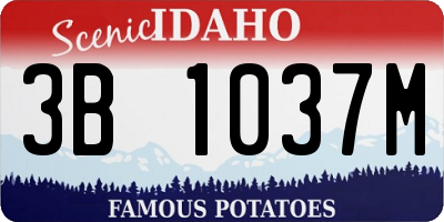 ID license plate 3B1037M