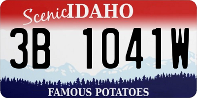 ID license plate 3B1041W