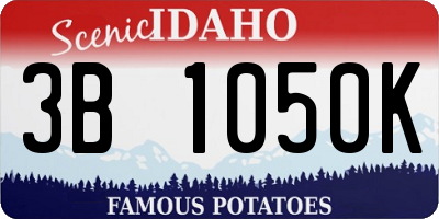 ID license plate 3B1050K