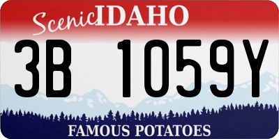 ID license plate 3B1059Y