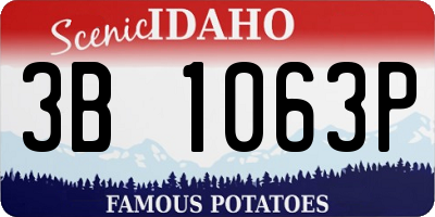 ID license plate 3B1063P