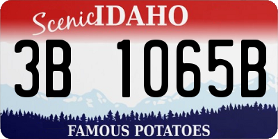 ID license plate 3B1065B