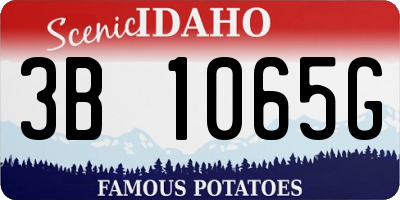 ID license plate 3B1065G