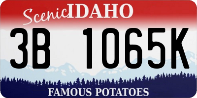 ID license plate 3B1065K