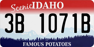 ID license plate 3B1071B
